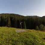 High Five *